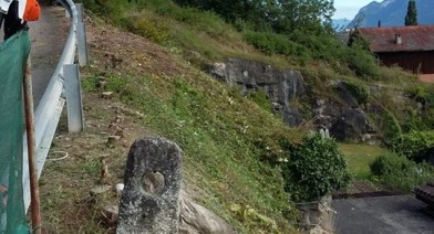Tondre et entretenir votre pelouse et votre talus Image 7