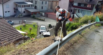 Tondre et entretenir votre pelouse et votre talus Image 5