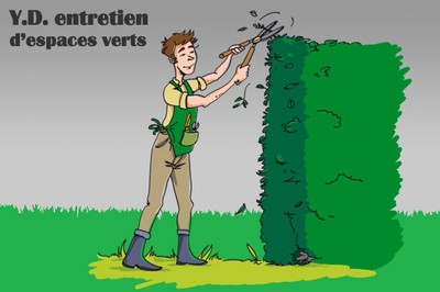 Tailler et entretenir votre haie