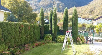 Tailler vos plantes, vos arbustes et arbres fruitiers Image 22
