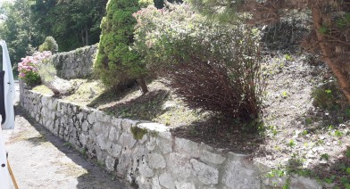 Tailler vos plantes, vos arbustes et arbres fruitiers Image 23