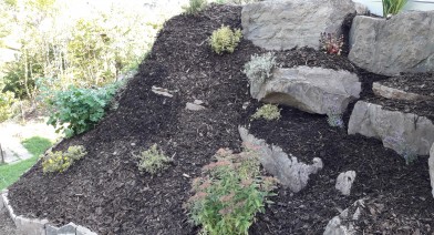 Potager, platebandes, terrasses, allées et biotopes Image 50