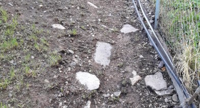 Potager, platebandes, terrasses, allées et biotopes Image 53